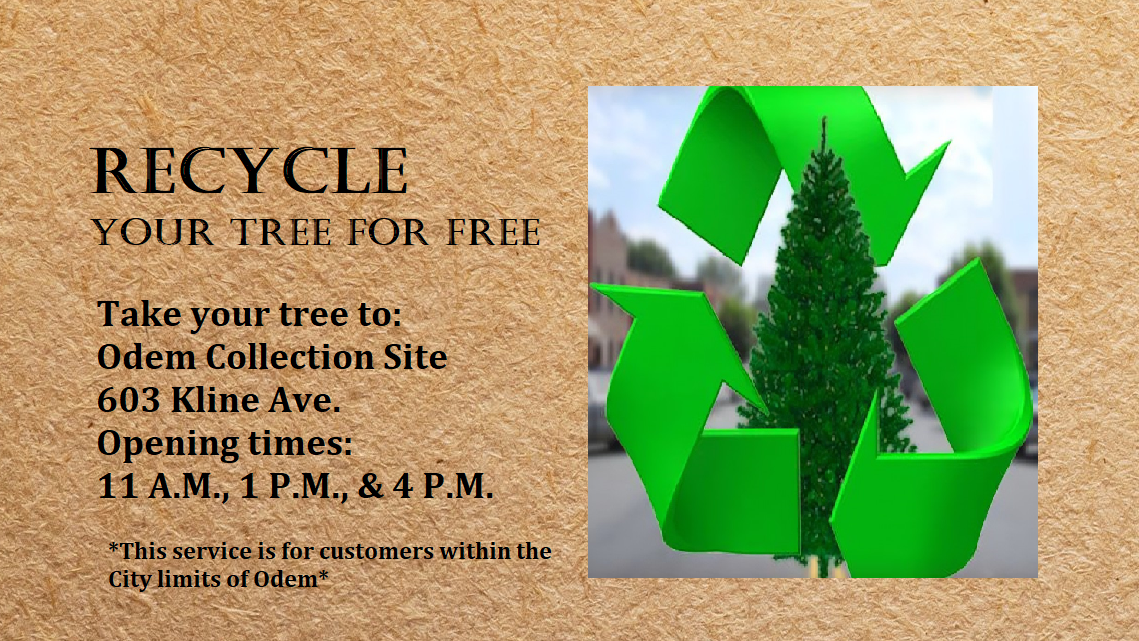 Recycle Your Tree for FREE