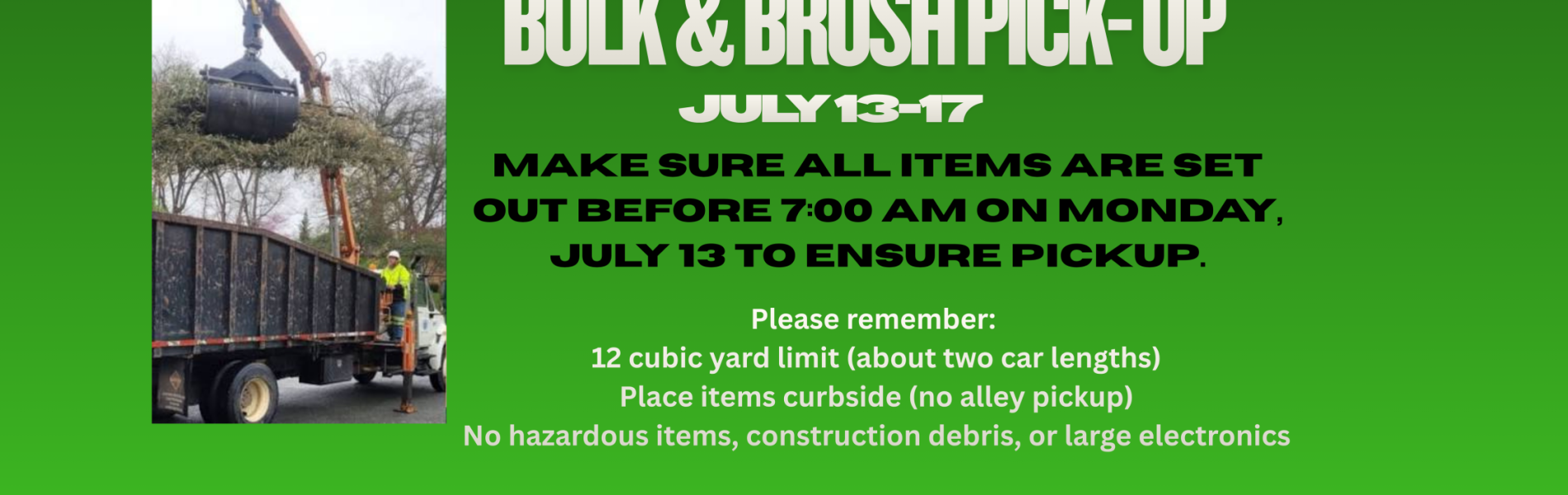 BULK & Brush (3)